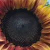 jackie.horton - @user293784839 - TikTok