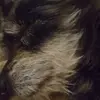 jackiehoyle36 - @jackiehoyle36 - TikTok