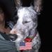 Jackie Huggins - Facebook
