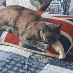 Jackie Hurst - @jackie.hurst.10 - Instagram