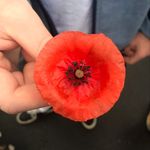 Jackie Hurst - @gingasaurus_0.o - Instagram