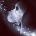 Jackie Hernandez de Irizarry - Facebook