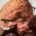 Jack Irons - @jackironsdrummer - Instagram