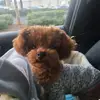 Jackie Iverson - @armyladyvet - TikTok