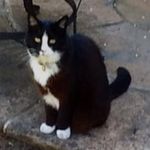 Jackie Jeffries - @jeffries6513 - Instagram