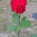 Jackie S Jeter - Facebook