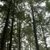 jackiejohnsnj - @jackiejohnsnj - TikTok