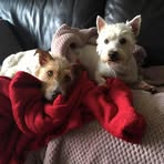 Jackie Joyce - Facebook