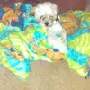 Jackie Juarez - @jackie.juarez11 - TikTok