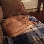 Jackie Keesaman - Facebook