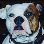 Jack Kettle - @jk._mcr - Instagram