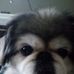 Jackie Kidd - Facebook