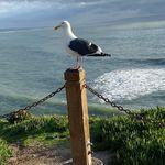 Jackie Kinsey - @jaklibrary - Instagram