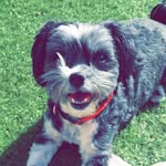 Jackie Kipp - @joey3kipp - Instagram