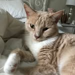 Jackie - @jackie_kittedy - Instagram