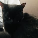 Jackie - @jackiekitt_ - Instagram