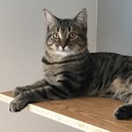 Jackie Kitty - @jackie.kittie - Instagram