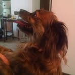Jackie Klusmeyer - Facebook