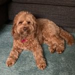 Jackie knapp - @jackieknapp74 - Instagram