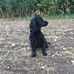 Jackie Knott - Facebook