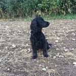 Jackie Knott - @jacksywatson - Instagram