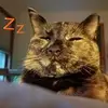 jackiekoehler8 - @jackiekoehler8 - TikTok