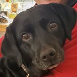 Jackie Kovach - @jkovach17 - Instagram