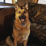 jackie kovach - @jessjackie50 - Instagram