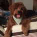 Jackie Kovach - Facebook
