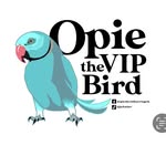 Jackie Kovar - @opie.vip.bird - Instagram