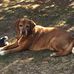 Jack Kropp - Facebook