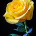 Jackie Kwan - Facebook