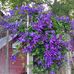 Jackie Mock LaBarge - Facebook