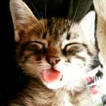 Jackie smith - @labontejackie - Instagram