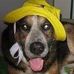 Jacqueline Labonte - Facebook