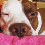 💩Jaxx Dean💩 - @jackie_lackie_dingdong - Instagram
