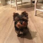 Jackie - @jackie_on_the_lakes - Instagram