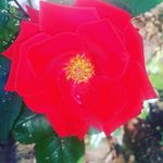 Jackie Lamothe 1 - @jackie_lamothe1 - Instagram