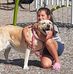 Jackie Spisak Lamothe - Facebook