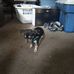 Jackie Laster - Facebook