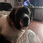 Jackie Laster - @jackie.stokes.374 - Instagram