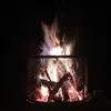 Jackie Lauer - @jackie.lauer2 - TikTok