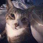 Jackie Lea - @jlgbennett_reader_of_books - Instagram