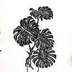 Jackie Yim - @jackie_leafmealone - Instagram