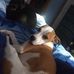 Jake Learn - Facebook