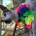 Jack.LeClair - @jack.leclair - Instagram