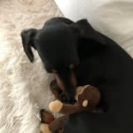 Jackie Leduc - @jackie.leduc1946 - Instagram