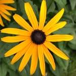 Jackie Leduc Conners - @jackie.l.conners - Instagram