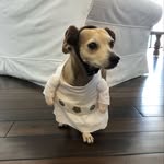 Jack - @jackie_levin_666 - Instagram