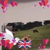 Jackie Lloyd - Facebook